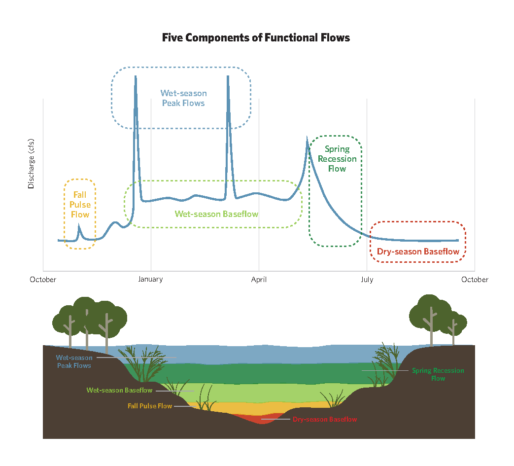 A functional flow  regime identifies the water  necessary at different times of the year to support healthy  ecosystems, taking into  account the natural  variability of flow levels  through the year that are  vital for ecosystem health.  The hydrograph on top  shows how flows change  throughout the year,  highlighting the five  functional flow components. The bottom panel shows how  each of the flow components  produces a different set of  conditions in a river channel.